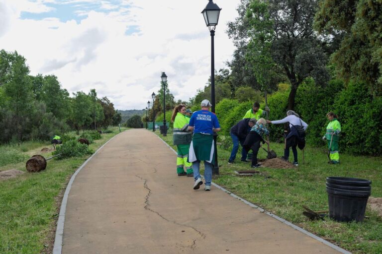 plantación de arbolado