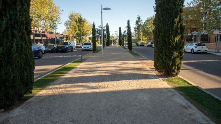 arboles plantados cuatro años