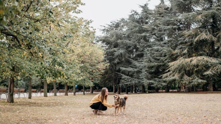 Planes pet friendly para hacer en Boadilla del Monte.