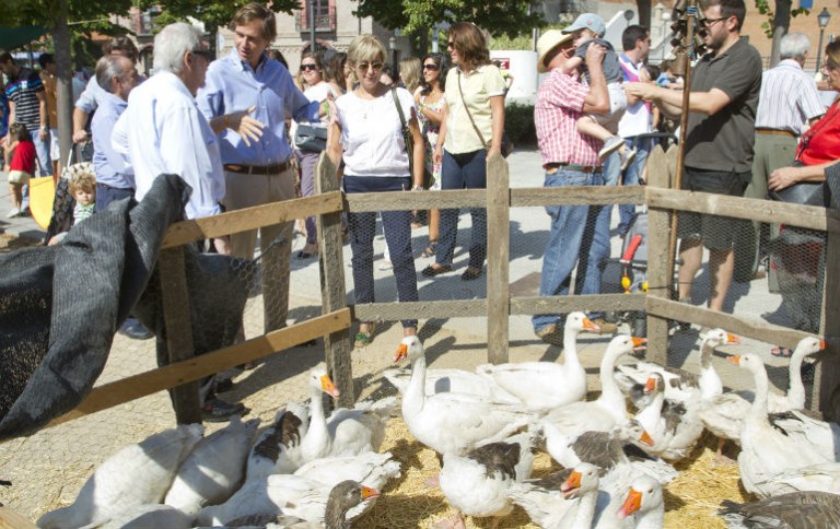 Boadilla se convierte en Medieval