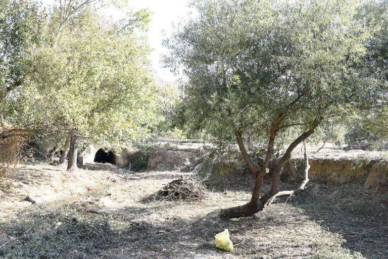 Comienza la limpieza y el desbroce de los arroyos de Valenoso, Nacedero y Calabozo