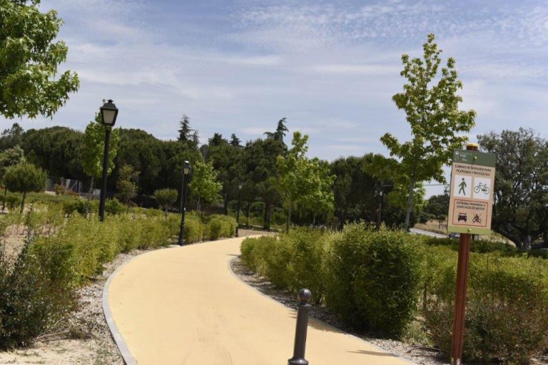 Así es el nuevo contrato de conservación y limpieza de zonas verdes