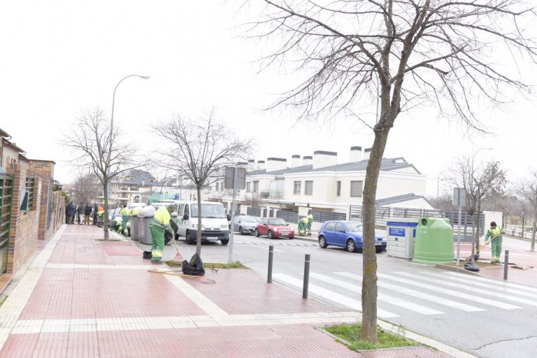 650 nuevos árboles para Boadilla