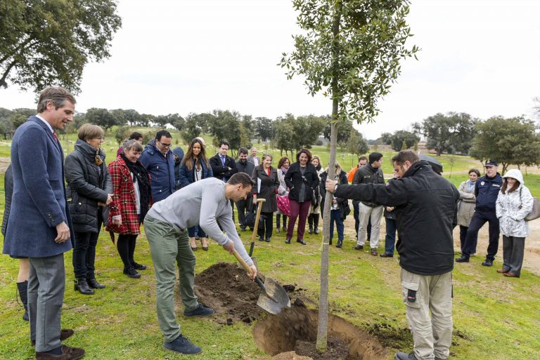 Boadilla celebra el Día del Funcionario plantando una encina