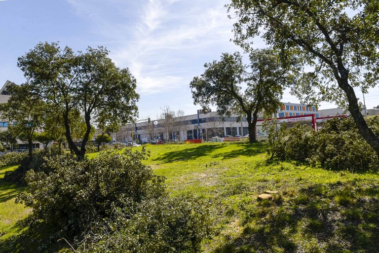 15 nuevos árboles para el parque empresarial de Prado del Espino
