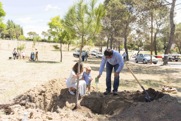 La plantación de árboles en homenaje a los niños nacidos en 2021 abre inscripciones