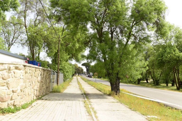 pasarela la milagrosa