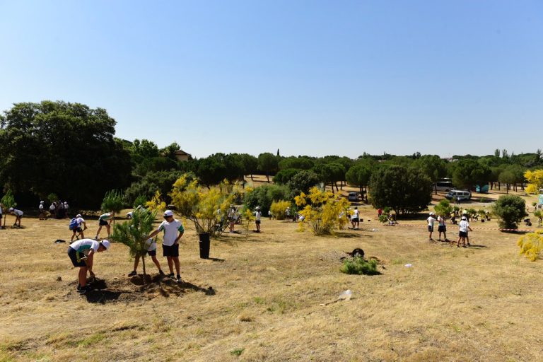 Casi 300 alumnos plantan 150 pinos en Las Lomas