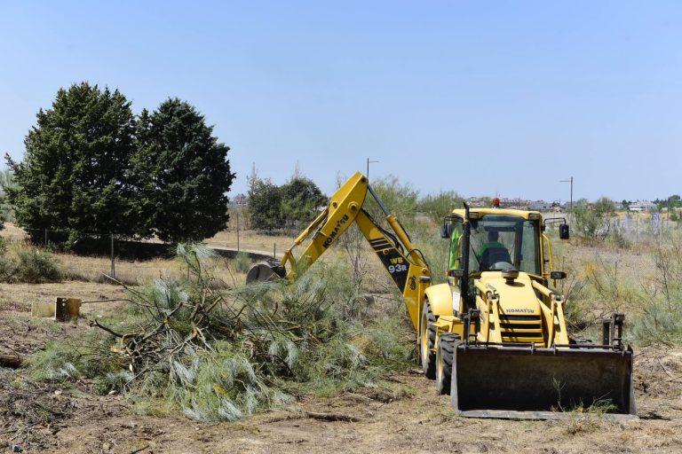 El Ayuntamiento prepara los terrenos del pulmón de Valdepastores