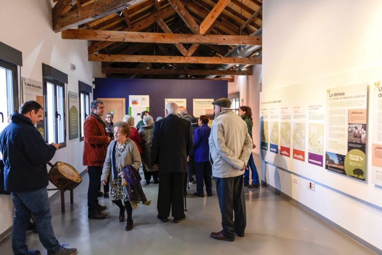 Gran acogida de las actividades del Aula Medioambiental en 2017