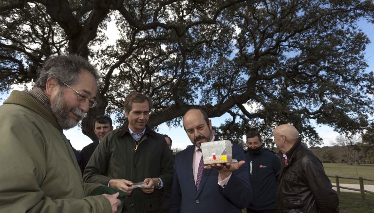 ‘La Invencible’ de Boadilla también será eterna