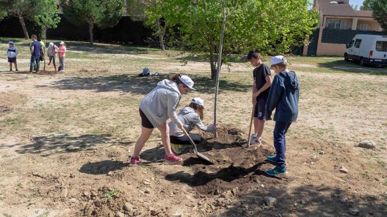 Los escolares de Boadilla plantan 200 árboles entre Valdepastores y El Encinar