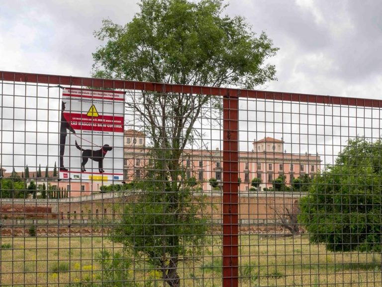 Los perros deben estar controlados en el monte