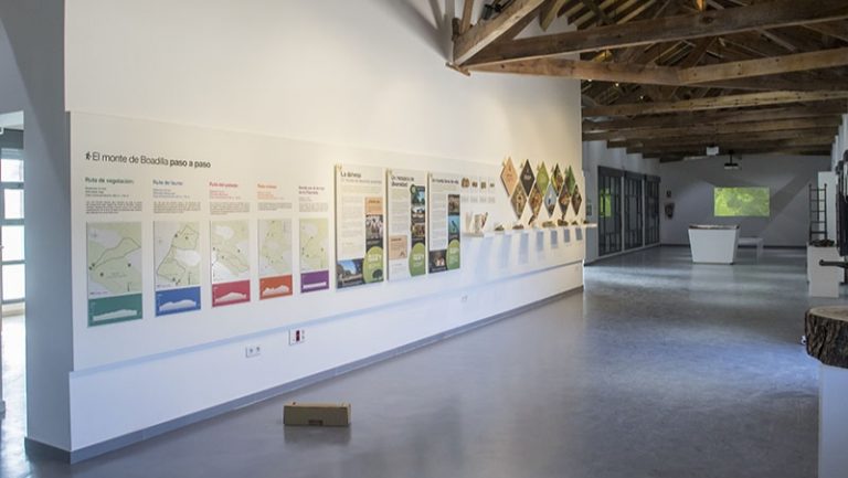 Reciclaje, salud, astronomía y conocimiento del entorno en el Aula Medioambiental