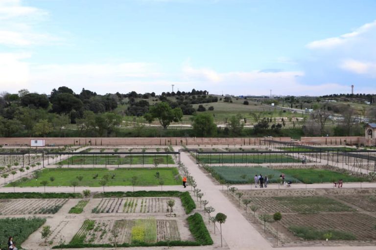Ya se pueden visitar las huertas rehabilitadas del palacio del Infante