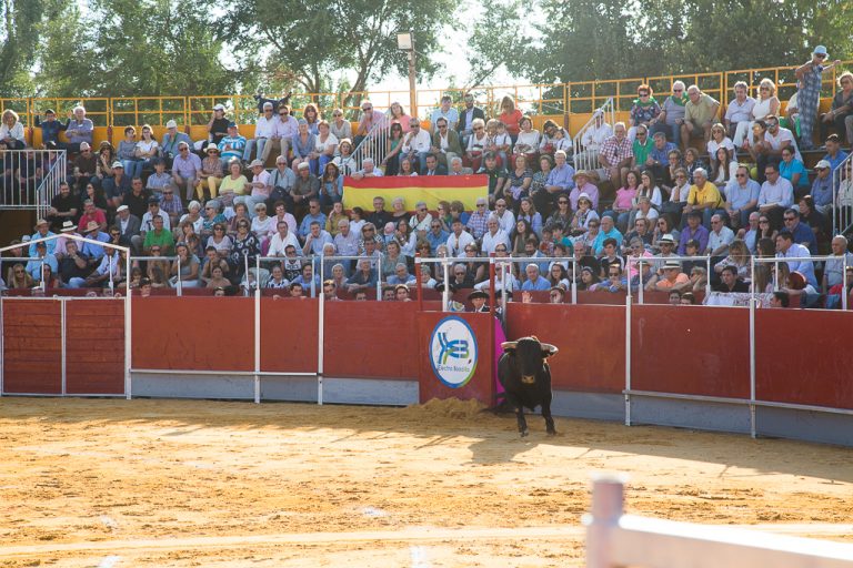 Por qué este año no habrá toros en las Fiestas de Boadilla