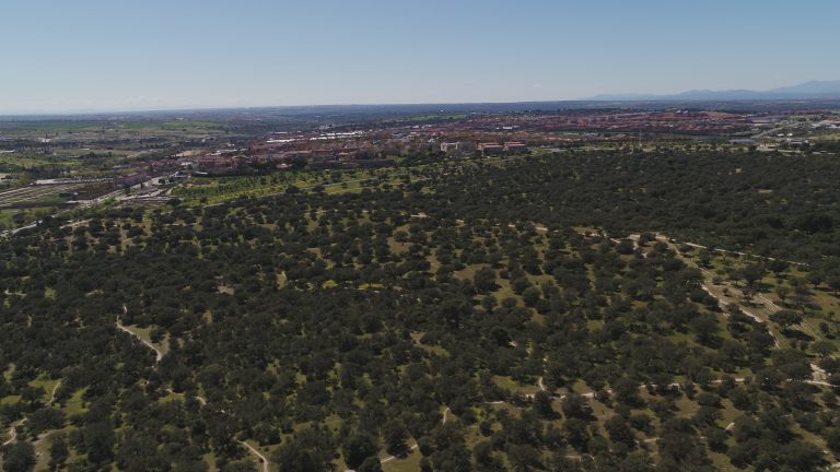 Boadilla no duplicará la M-513 a su paso por el monte y plantea construir túneles en Pozuelo