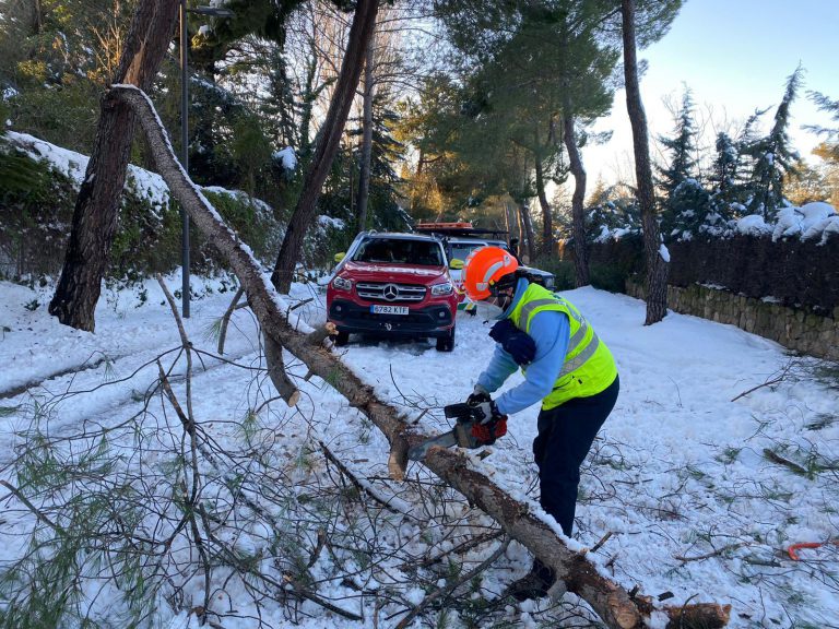 Boadilla solicitará la declaración de zona gravemente afectada por emergencia de Protección Civil