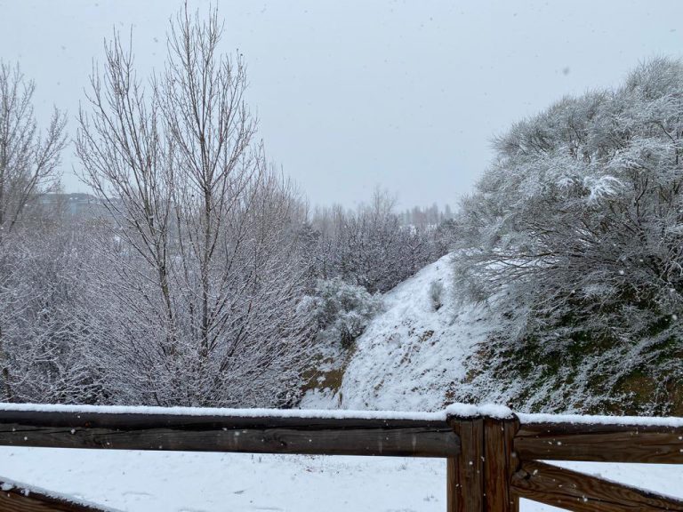 Boadilla queda cubierta bajo un tupido manto de nieve