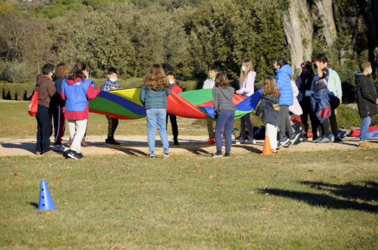 diversidad funcional