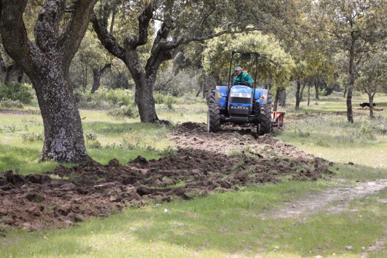 El Ayuntamiento da una segunda oportunidad a la vegetación de caminos del monte