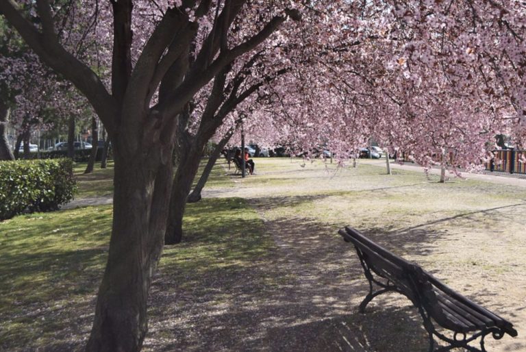 ¿Qué beneficios aportan las zonas verdes urbanas?