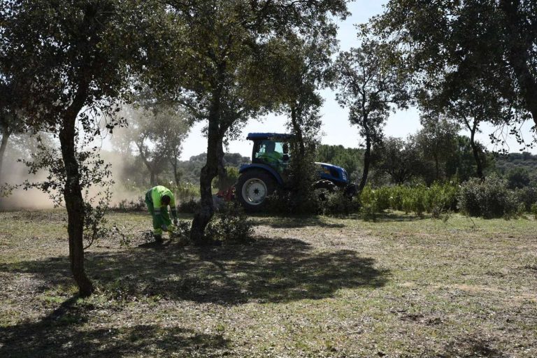 Comienzan los trabajos de limpieza del monte para evitar incendios