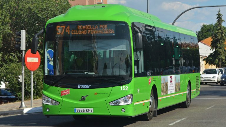 Autobús y trenecito: servicios especiales de trasporte para las fiestas