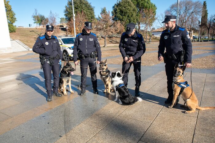 Nuevos agentes caninos en la Policía Local de Boadilla