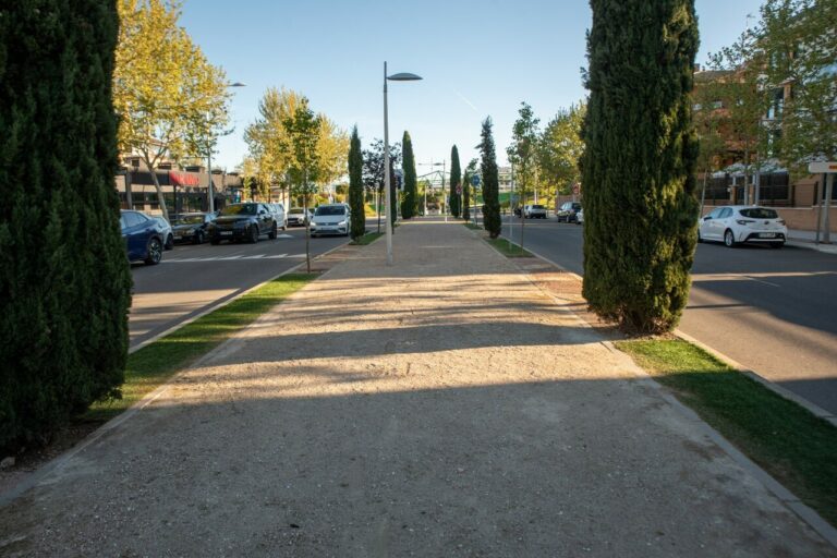 nuevos árboles en Boadilla