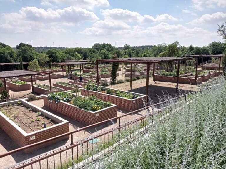 Actividades medioambientales septiembre - octubre