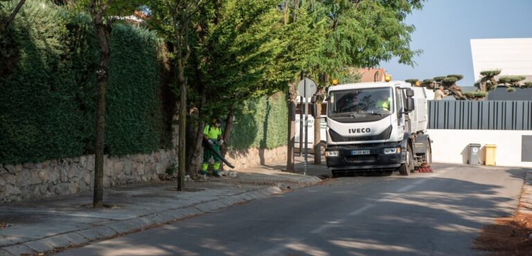 Limpieza pinocha urbanizaciones históricas
