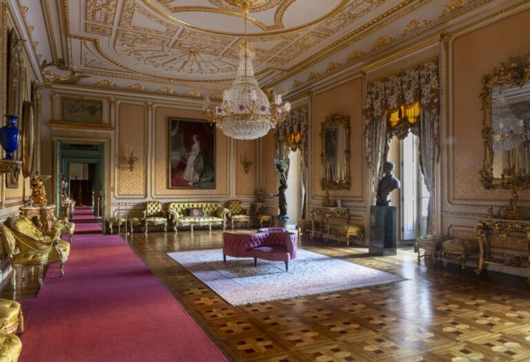 bienvenidos a palacio