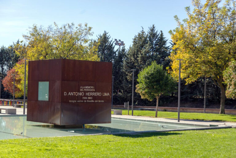 voluntariado ambiental