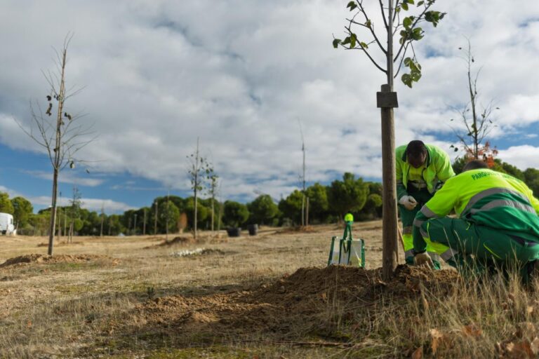zonas verdes de Boadilla
